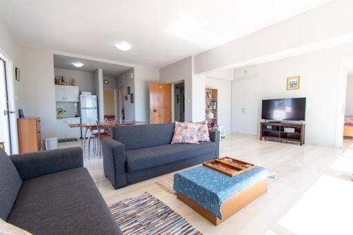 Lavish & Spacious Apt With Stunning Seaview, 10 Min Ath Airport Artemida  Ngoại thất bức ảnh